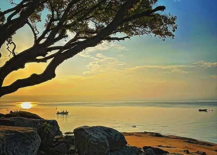 L'échappée Nocturne Appartement